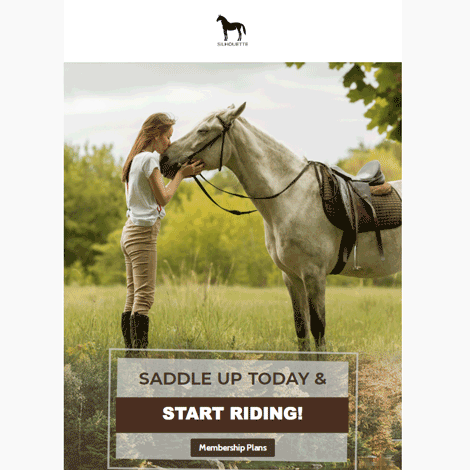 Horse Stable Riding Lessons Marketing